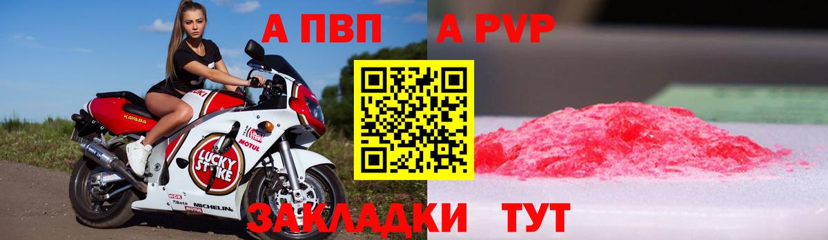 A PVP СК Курган