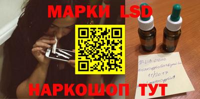 крисы Славгород