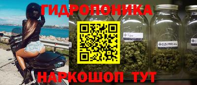гашик Сланцы