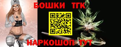 гашик Сланцы