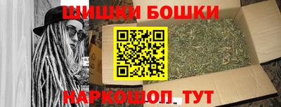 гашик Сланцы