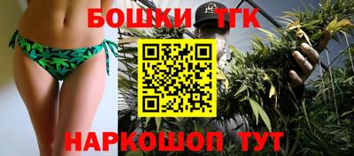 крисы Славгород