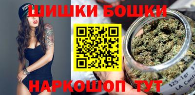 крисы Славгород