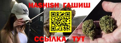 гашик Сланцы