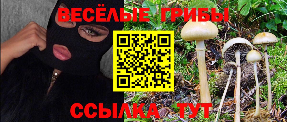 Псилоцибиновые грибы MAGIC MUSHROOMS Курган
