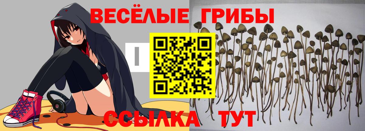 Галлюциногенные грибы мухоморы  Галлюциногенные грибы мухоморы  Вход с VPN  Курган 